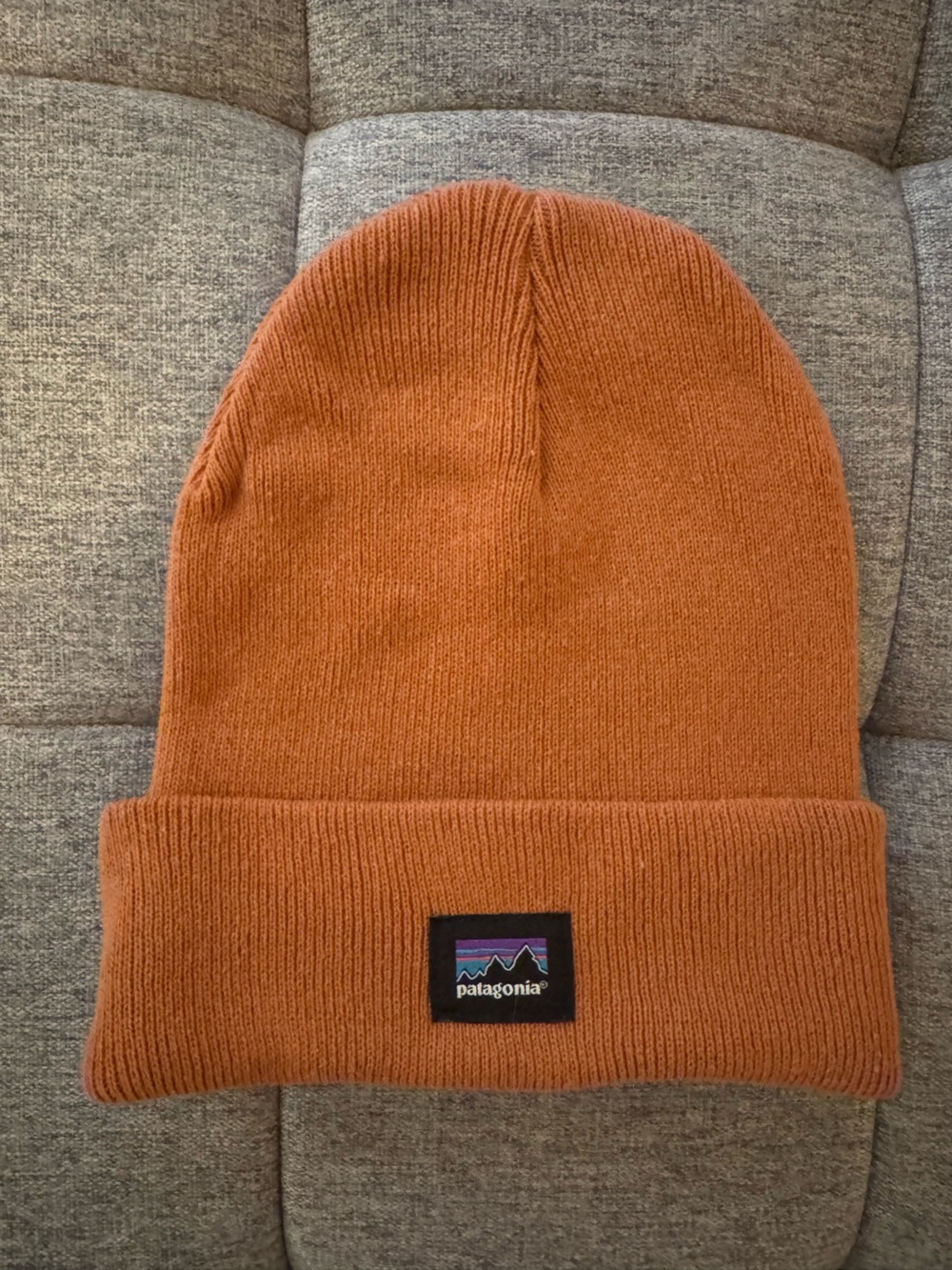 Patagonia Women’s Beanie